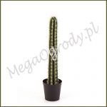 Single Column Cactus